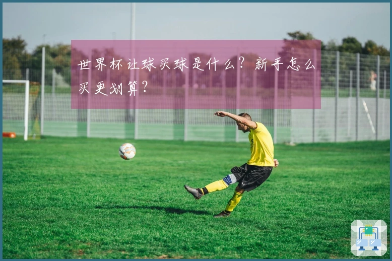 世界杯让球买球是什么？新手怎么买更划算？